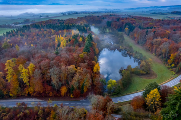 Étang du Sépey à Cossonay en automne