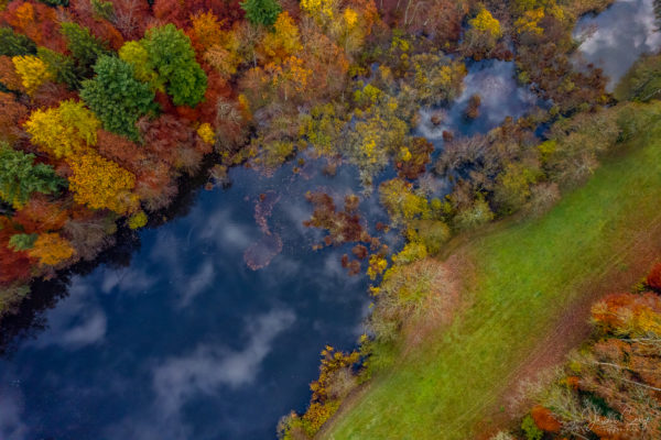 Étang du Sépey à Cossonay en drone